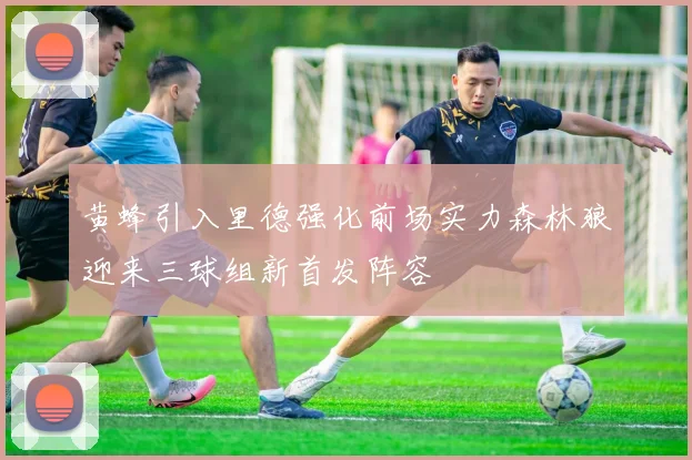 黄蜂引入里德强化前场实力森林狼迎来三球组新首发阵容